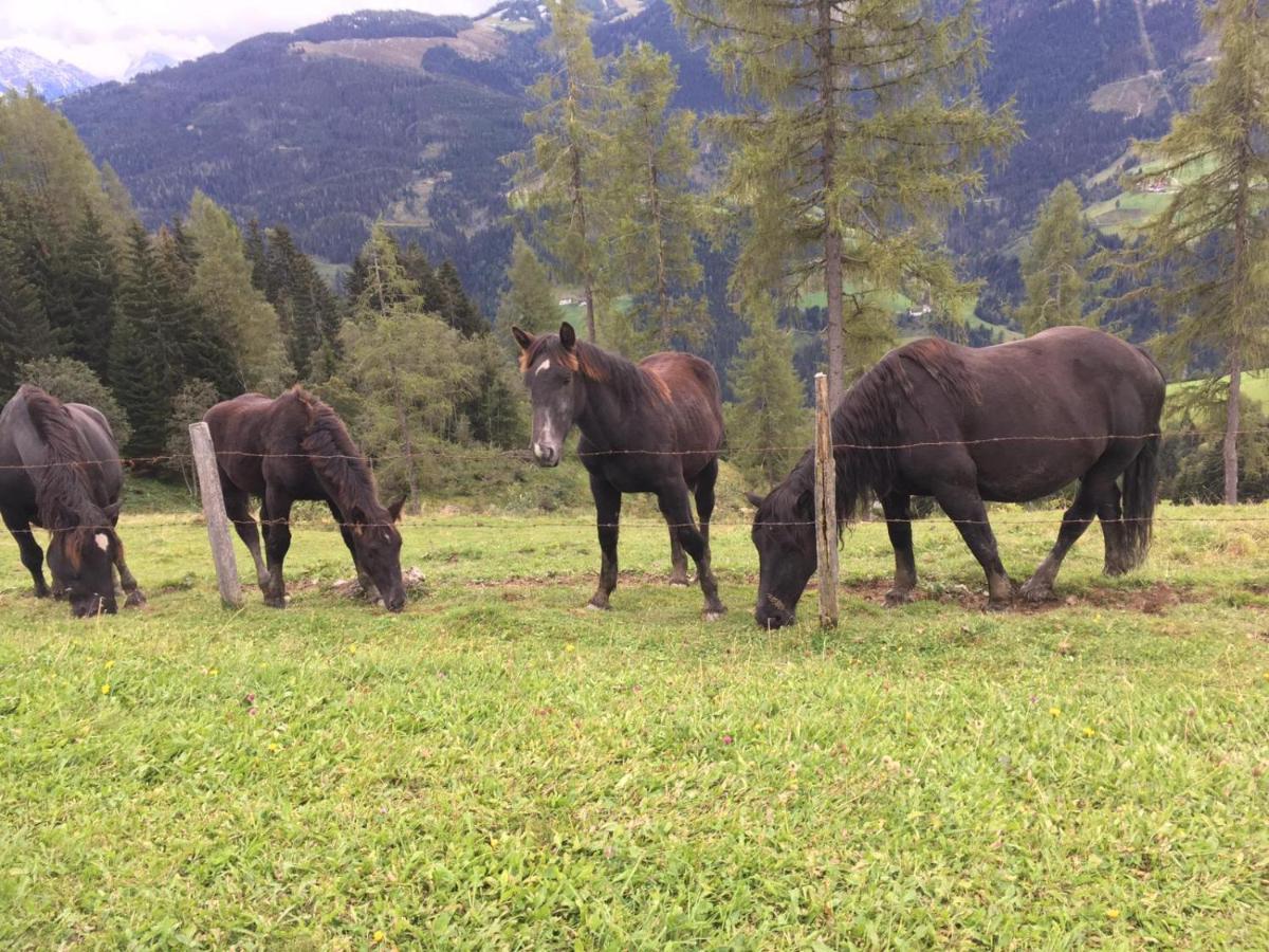 Lindbichlhof Urlaub Am Bio Bauernhof Sankt Johann im Pongau Exterior foto