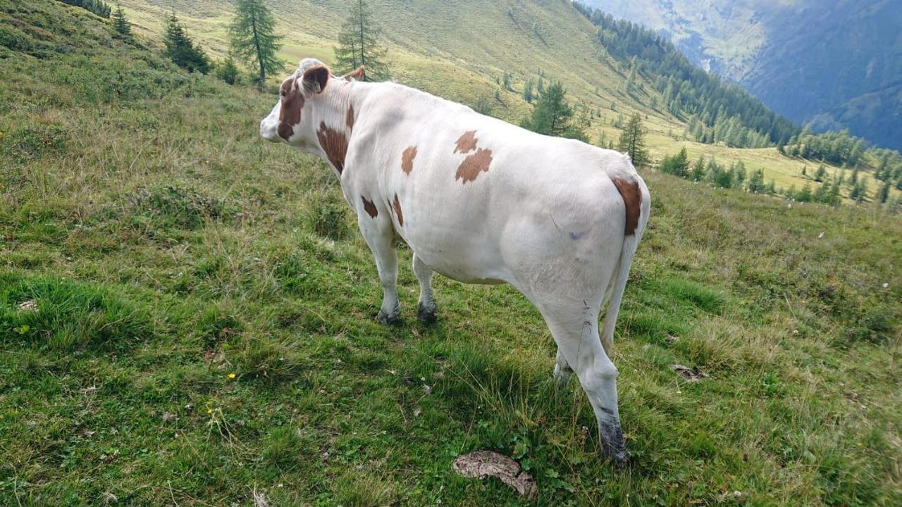 Lindbichlhof Urlaub Am Bio Bauernhof Sankt Johann im Pongau Exterior foto