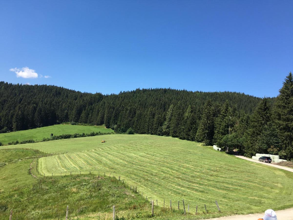 Lindbichlhof Urlaub Am Bio Bauernhof Sankt Johann im Pongau Exterior foto