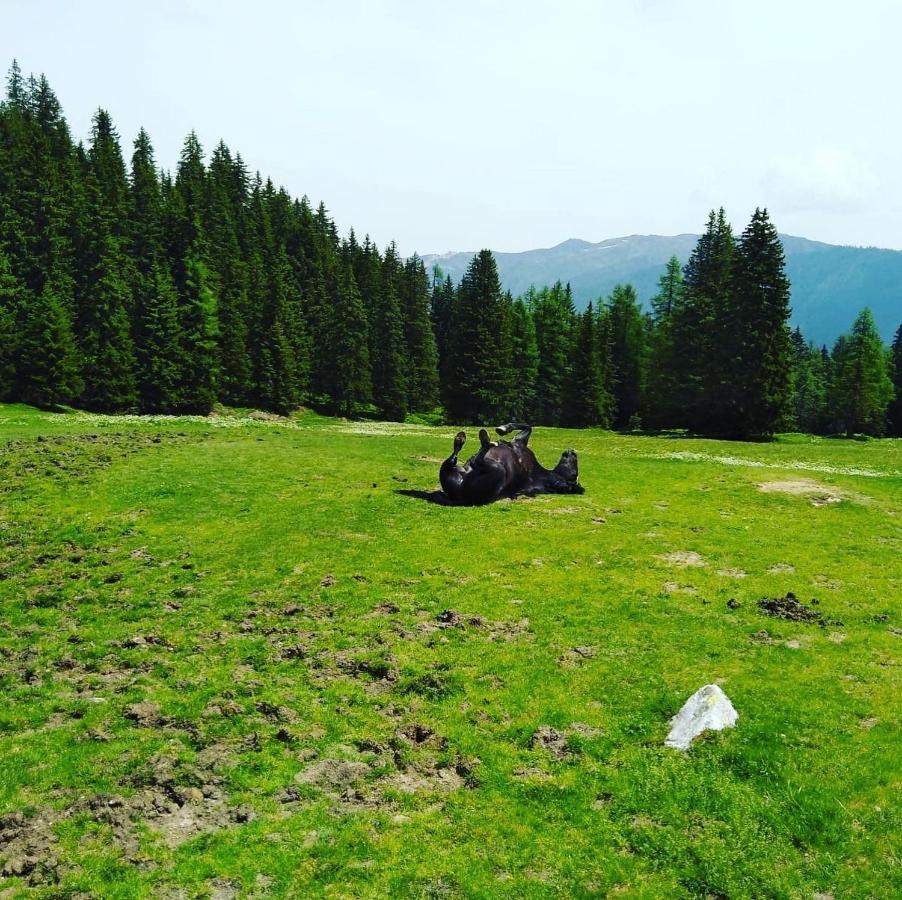 Lindbichlhof Urlaub Am Bio Bauernhof Sankt Johann im Pongau Exterior foto