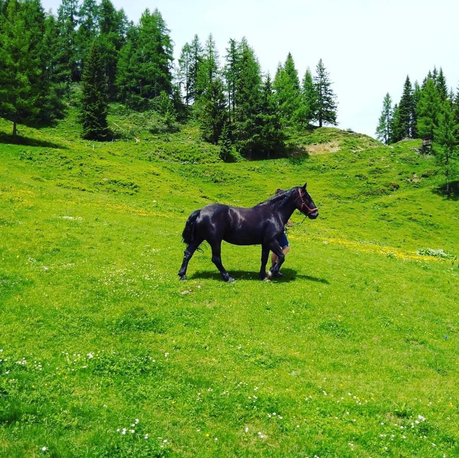 Lindbichlhof Urlaub Am Bio Bauernhof Sankt Johann im Pongau Exterior foto