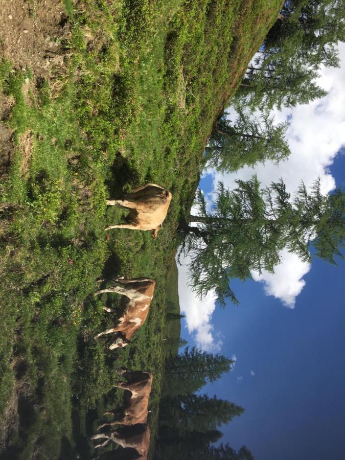 Lindbichlhof Urlaub Am Bio Bauernhof Sankt Johann im Pongau Exterior foto
