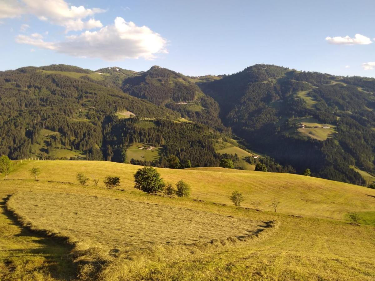 Lindbichlhof Urlaub Am Bio Bauernhof Sankt Johann im Pongau Exterior foto