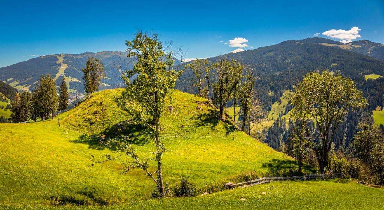 Lindbichlhof Urlaub Am Bio Bauernhof Sankt Johann im Pongau Exterior foto