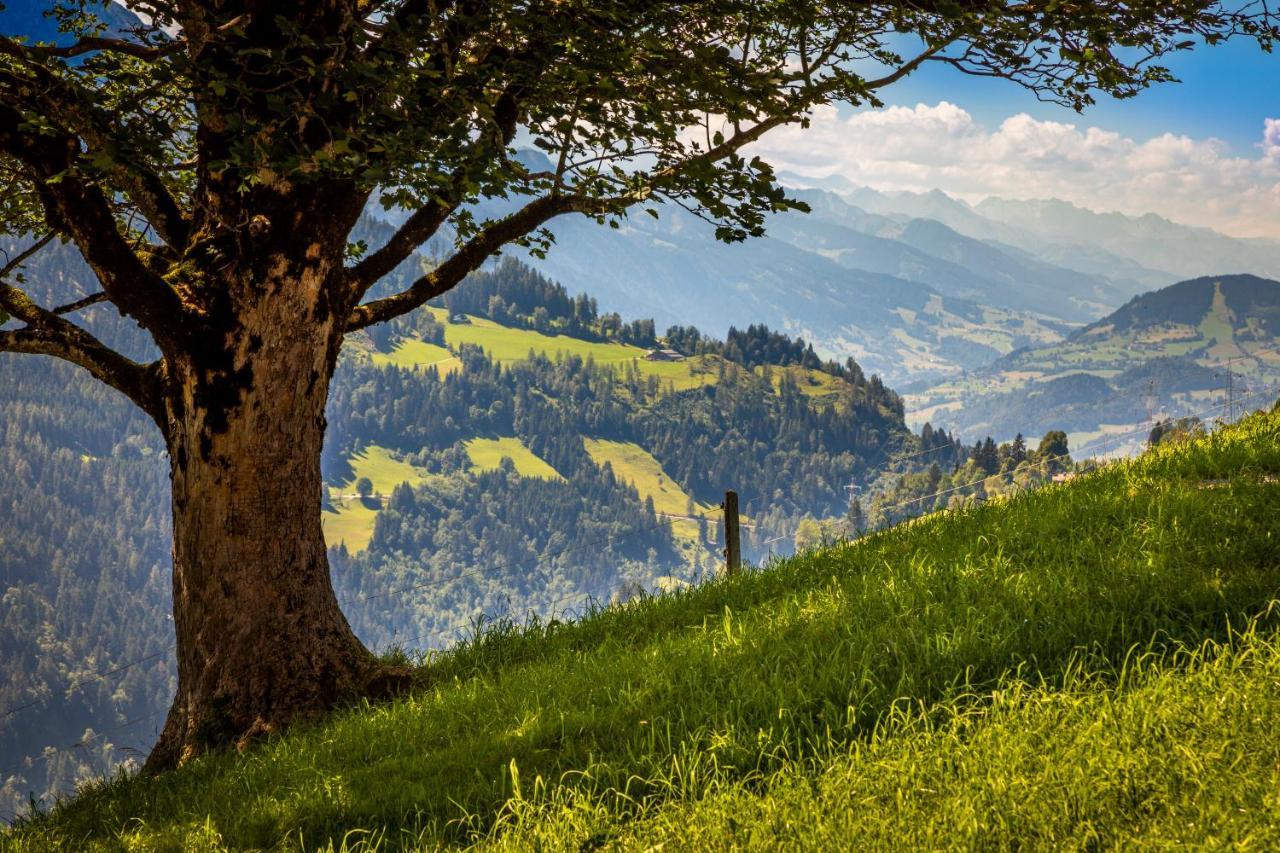 Lindbichlhof Urlaub Am Bio Bauernhof Sankt Johann im Pongau Exterior foto