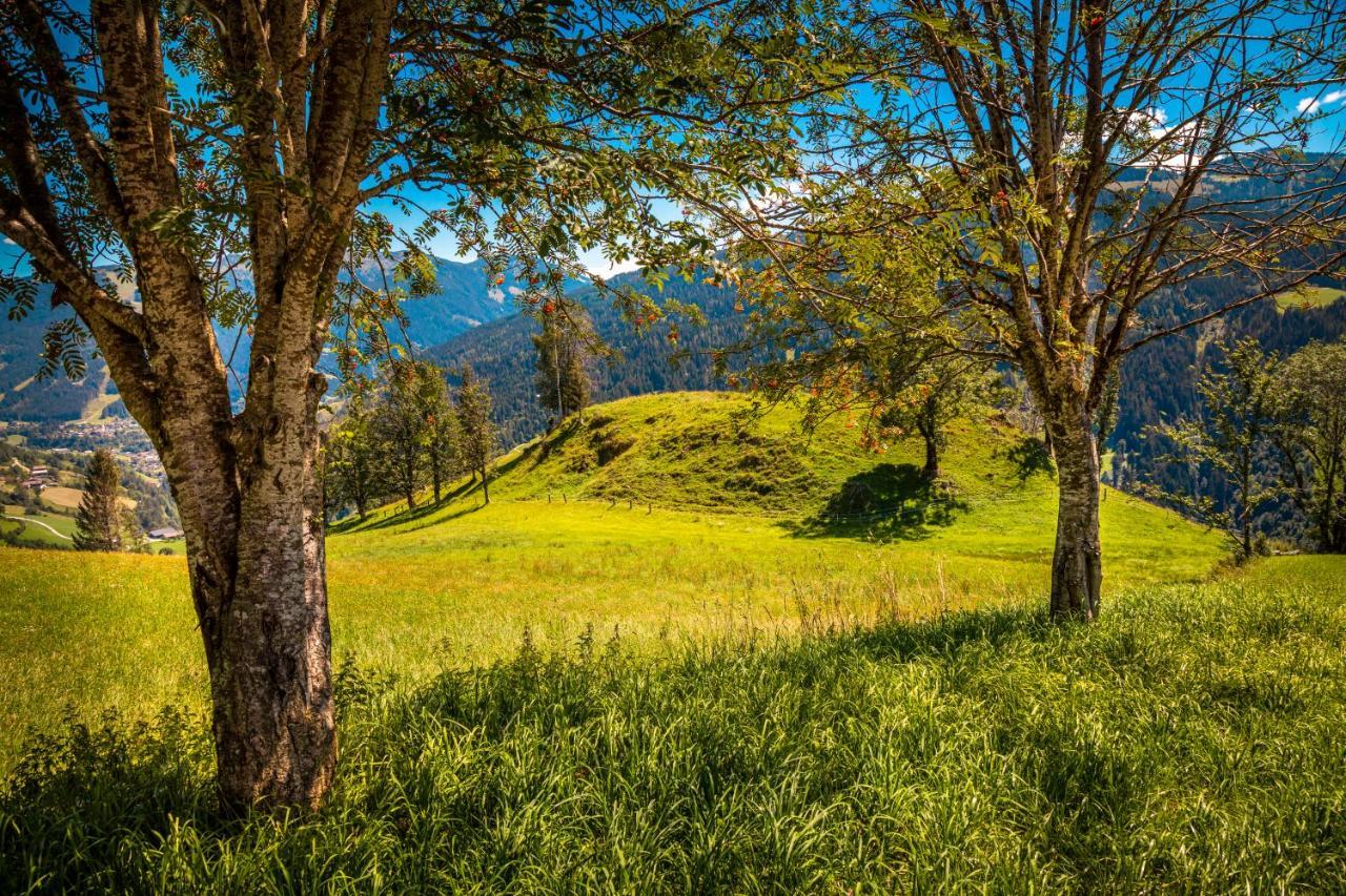 Lindbichlhof Urlaub Am Bio Bauernhof Sankt Johann im Pongau Exterior foto
